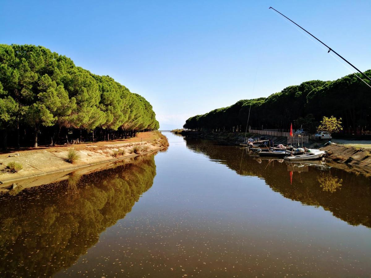 Beachfront, Tirana
